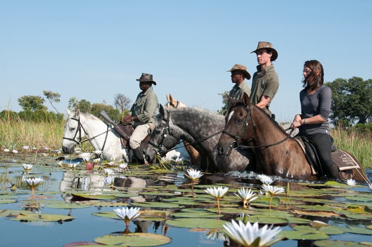 Immagine - Safari nel delta dell'Okavango