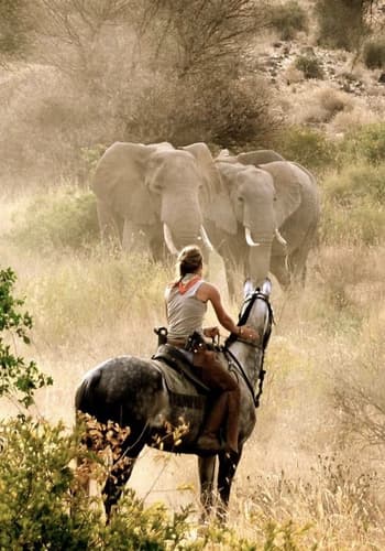 Imagen - Tanzania: Horseback safari in Arusha National Park