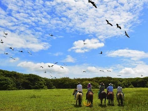Immagine - Colombia: La riserva naturale di Orinoquia