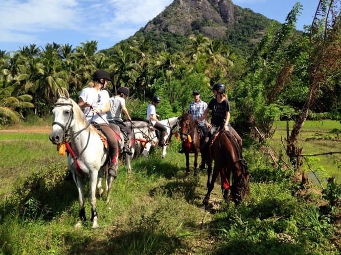 Immagine - Sri Lanka: L'isola del the