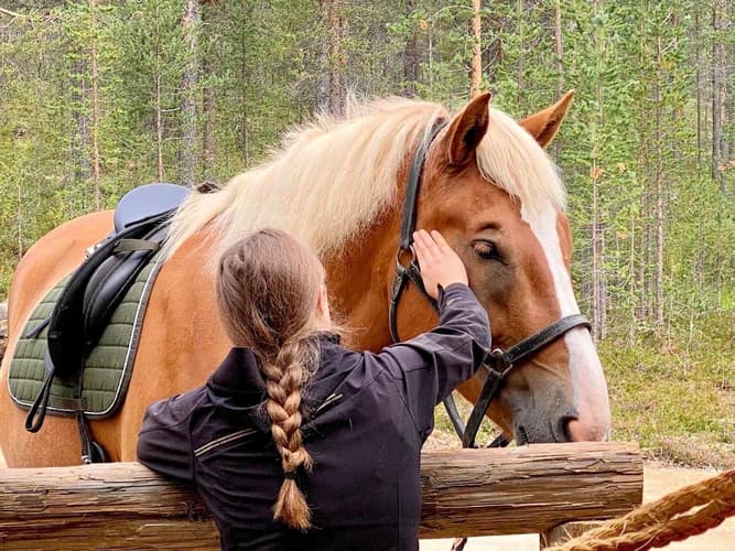 Imagen - Enchanted lapland