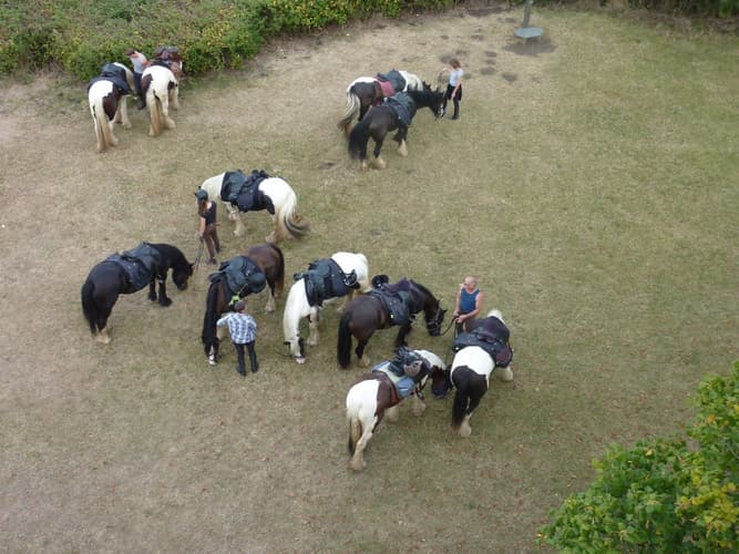 Immagine - Normandia: da Cancale a Mont Saint Michel