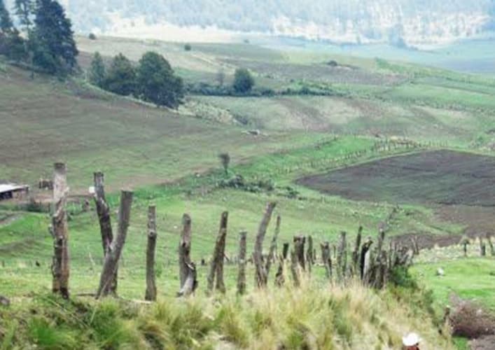 Image - Central mexico: the Ajusco natural park