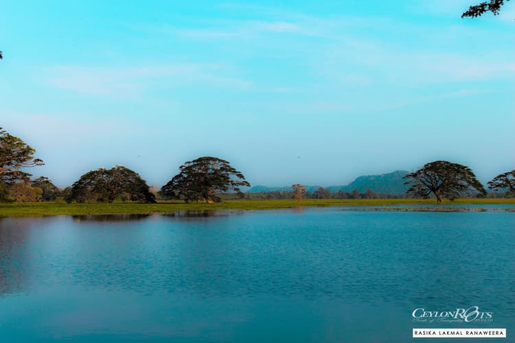 Imagem - Island Essence Tour