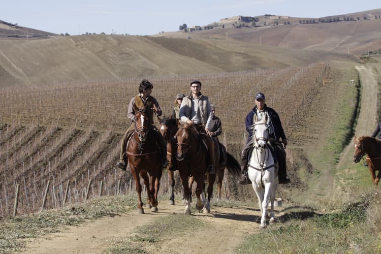Immagine - Italy: Sicilia - la rotta del vino