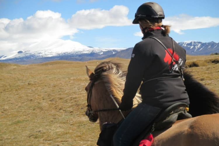 Immagine - Islanda: i ghiacciai islandesi