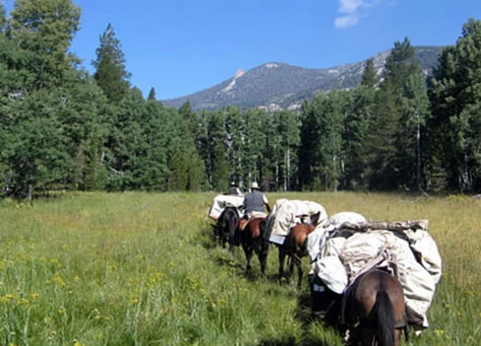 Image - United States: California - Yosemite park expedition