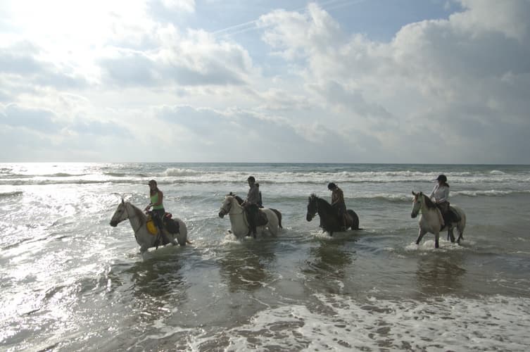 Immagine - Spagna: Andalusia - Sulle spiagge di Tarifa