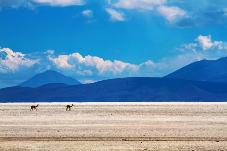 Image - Explora Tus Sueños