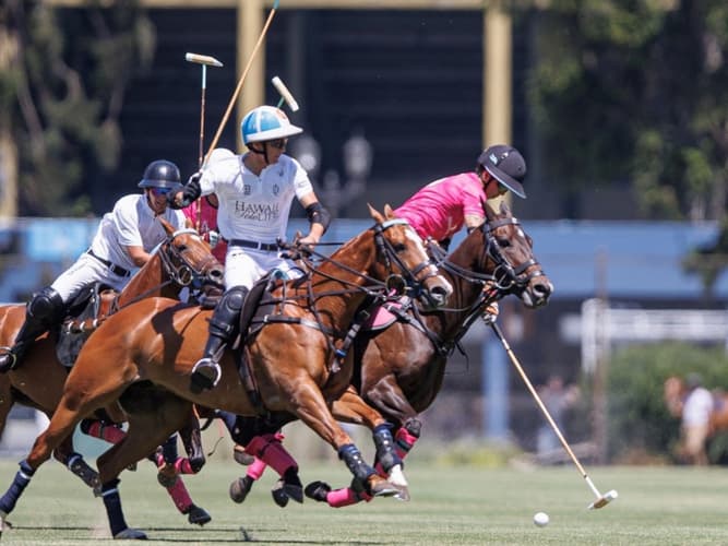 Immagine - Cordoba/mendoza: scoprire il polo
