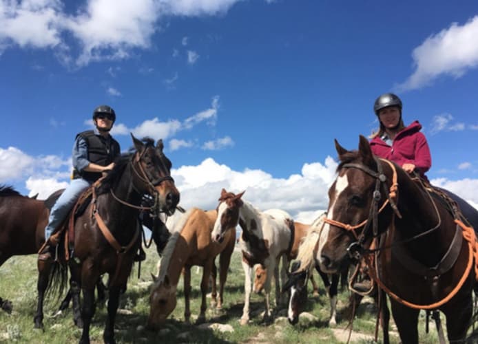 Image - United States - Idaho: leading a herd in idaho