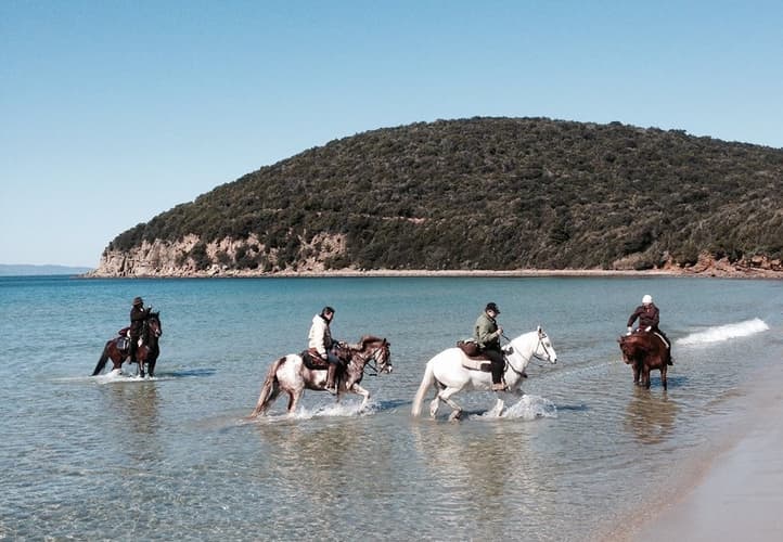 Immagine - Italia - Toscana: assaggio di Maremma