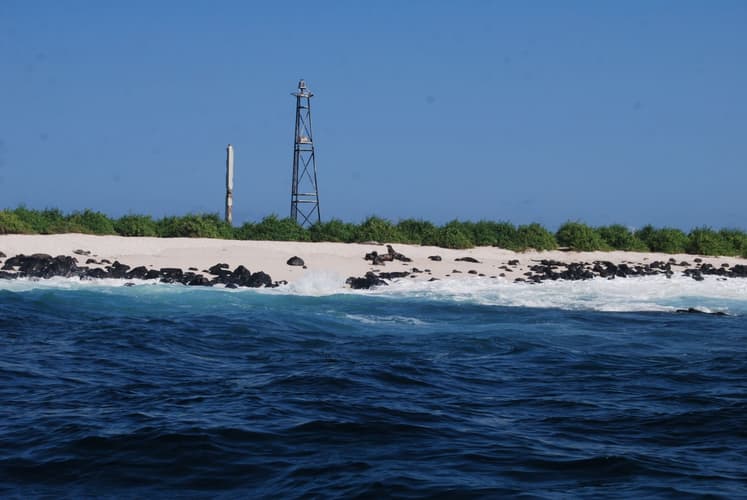 Bilde - Galapagos Inter Islas Santa Cruz 1 Navegacione - 5 Días