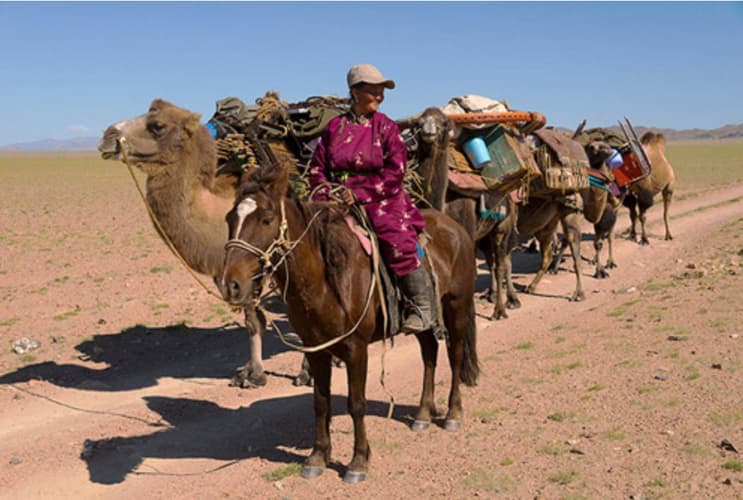 Image - The steppe of Gobi Desert