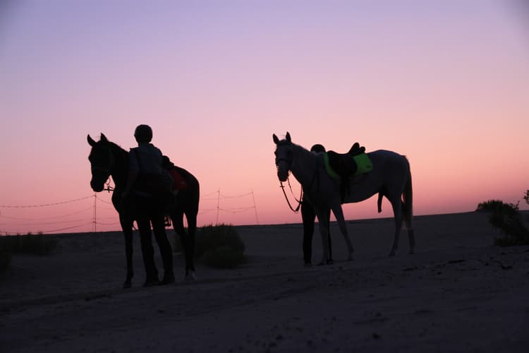 Immagine - Abu Dabhi, la capitale