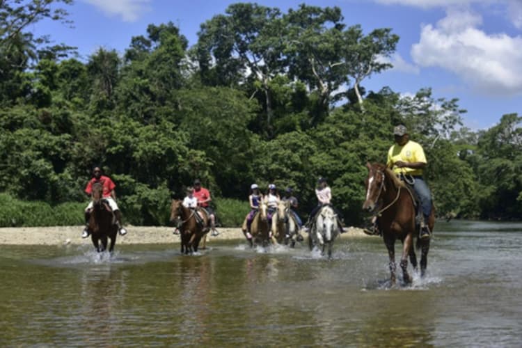Image - Mayan jungle trail