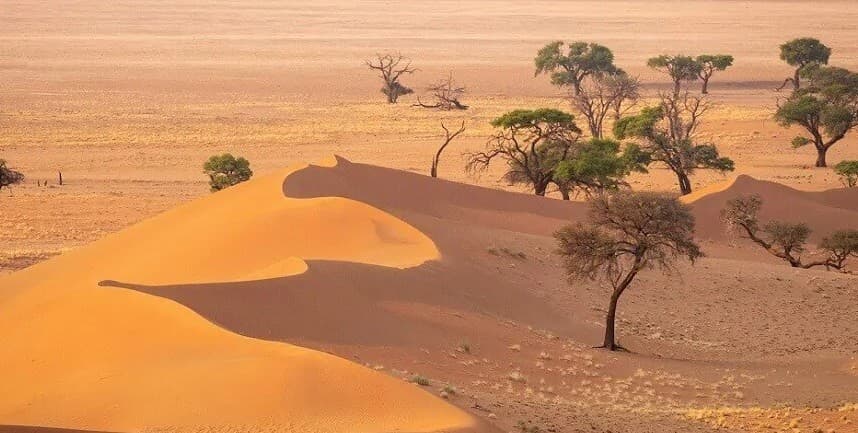 Imagen - El Sur de Namibia