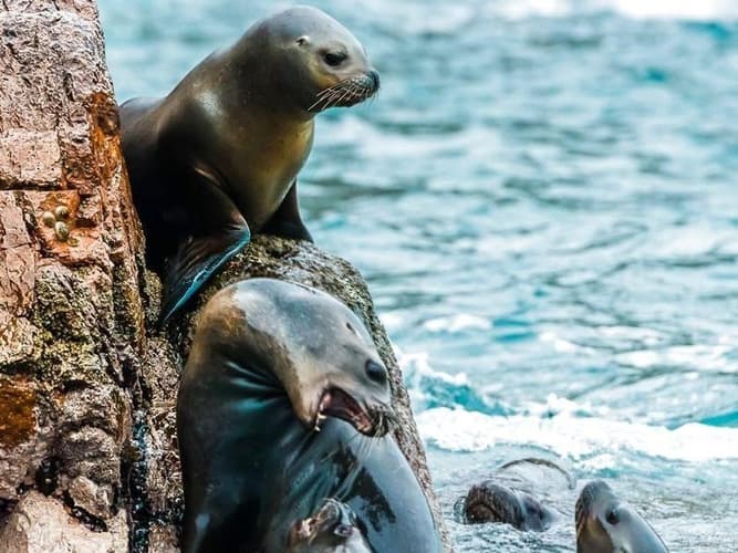 Imej - Perú Esencial Místico (Pre Nazca + Perú Esencial) con vuelos internos