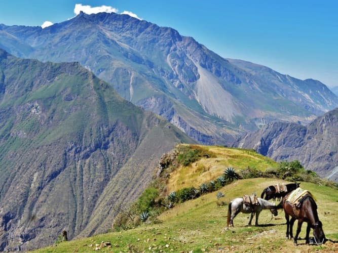 Imagen - Choquequirao, Ciudadela Inca del Apurímac