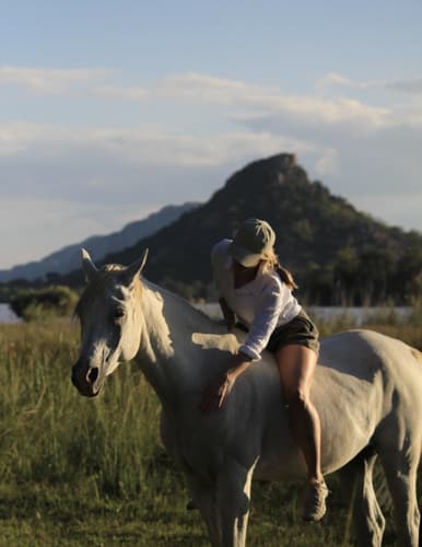 Immagine - Safari a cavallo nel Matabeleland