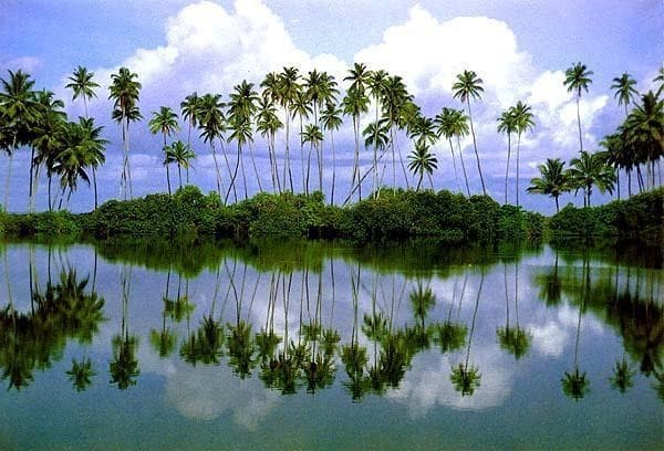 Imagem - Ceylon Splendors Trail - Italian