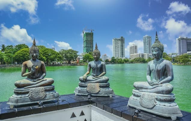 Imagem - Ceylon Splendors Trail