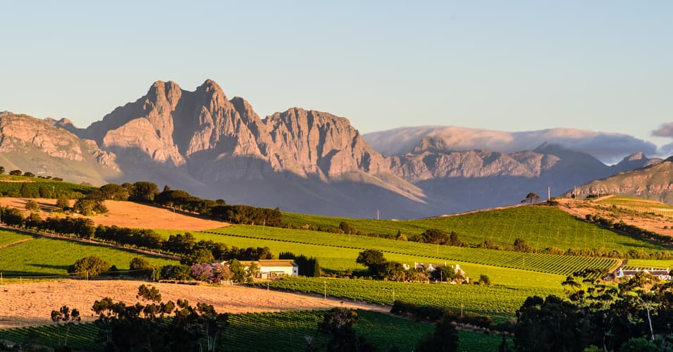 Image - Highlights of South Africa's Winelands