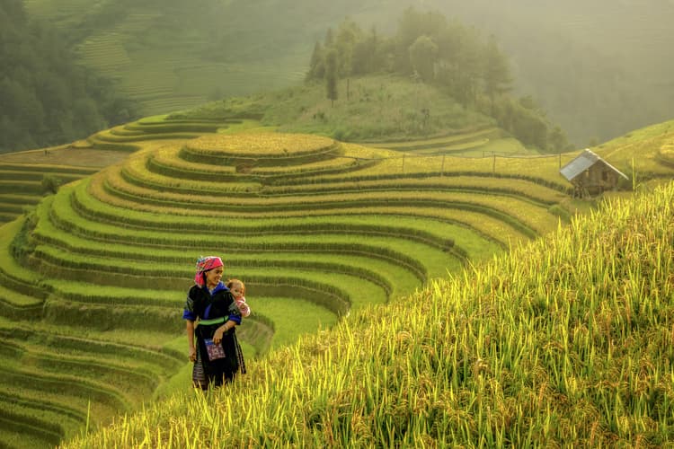 Image - Hiking in Northern Vietnam