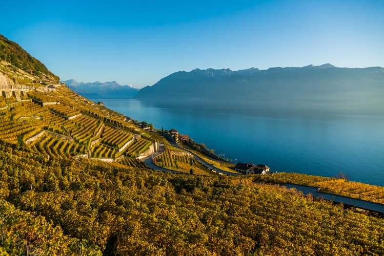 Billede - Discover Switzerland by Rail