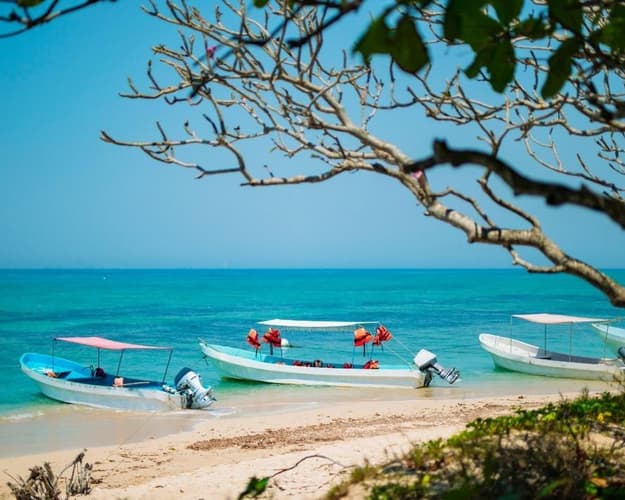 Imagen - TOUR MANDINGA Y VERACRUZ CON SABOR JAROCHO 