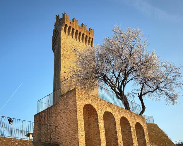 Immagine - CNA - Le colline teramane tra storia, cultura e...