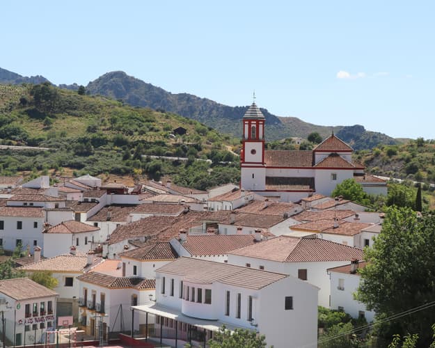 Imagen - #PUEBLOSMÁGICOS- CÁDIZ, PUEBLOS BLANCOS Y CAMPIÑA SEVILLANA