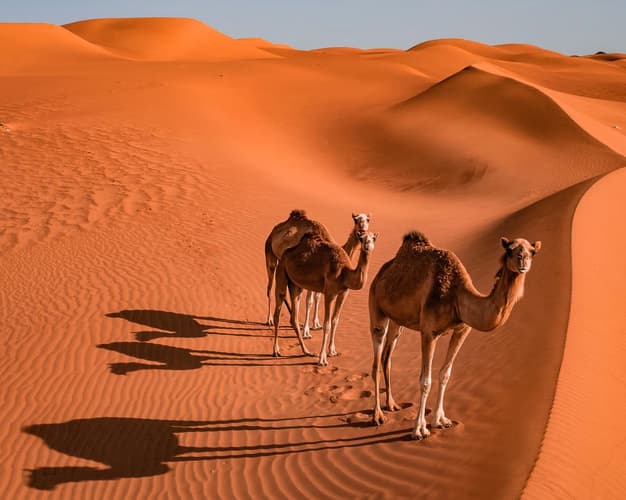 Obraz - Wonders of Oman