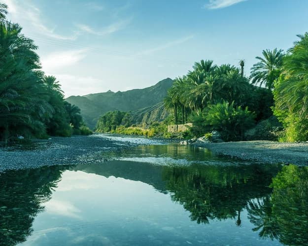 Image - Private Kurztour "Vom Schildkrötenstrand ins Wüstencamp"