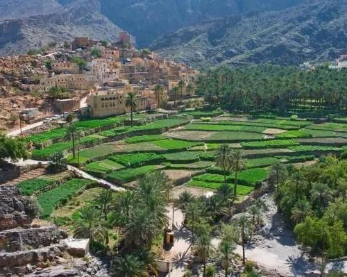 画像 - Springs & Stone Paths: A Journey Through Nakhal & Bald Sayt