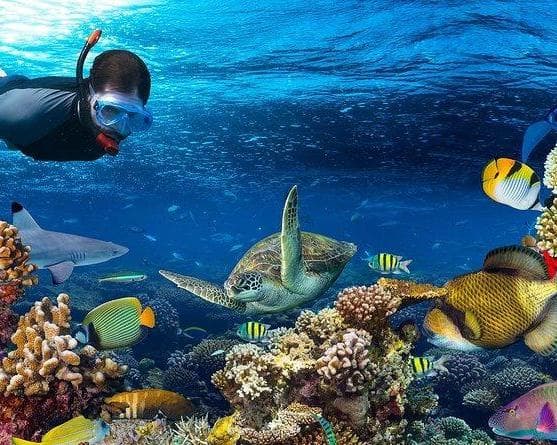 Imagen - FIN DE SEMANA DE AVENTURA CON 3 IMPERDIBLES TOURS DEL CARIBE