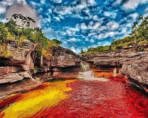 Imagen -  La Macarena - Caño Cristales 