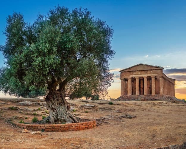 Immagine - EXPLORE SICILIA Sulle orme del Commissario Montalbano