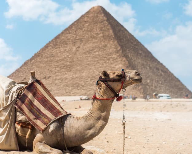 Изображение - EGIPTO AL COMPLETO