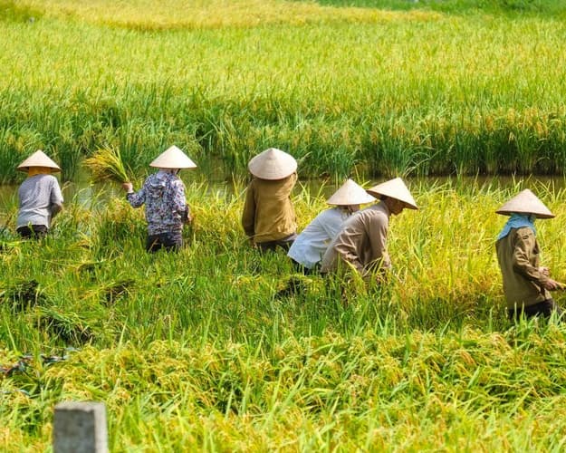 Immagine - EXPLORE VIETNAM Cuore dell'Indocina