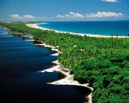 Imagen - Bahia Cinco Paraísos