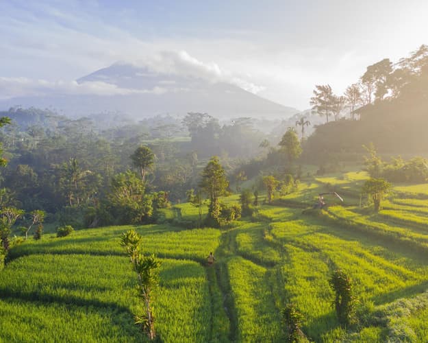 Изображение - Privatrundreise "Balis Highlights komplett"