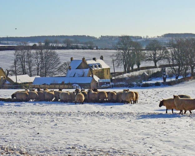 Immagine - MEMORABILIA  COTSWOLDS - CHRISTMAS EDITION