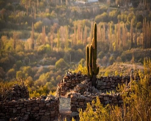 Imagen - Ruta del Vino Riojano