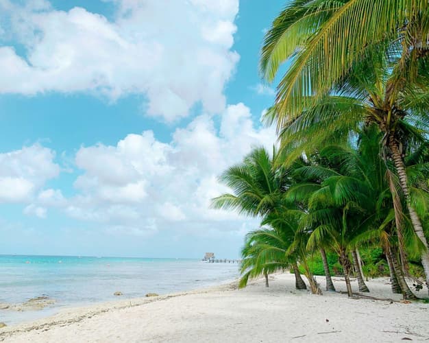 Imagen - Meraviglie dello Yucatán: tra storia e natura