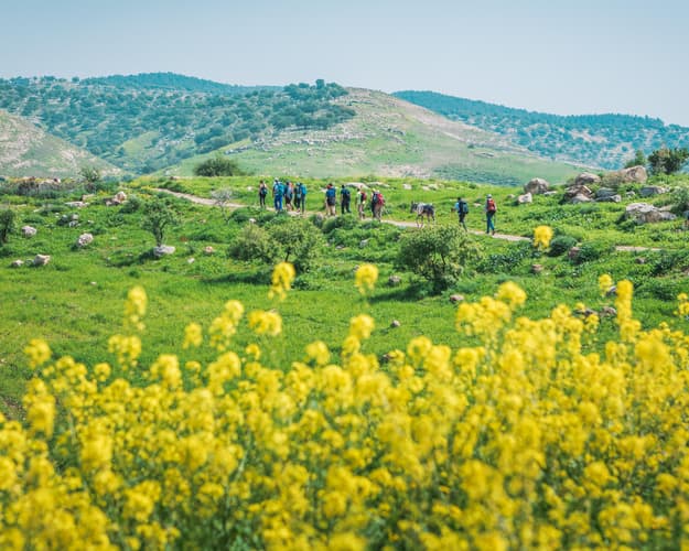 صورة - Circuit Jordanie & Randonnée sur le Jordan Trail