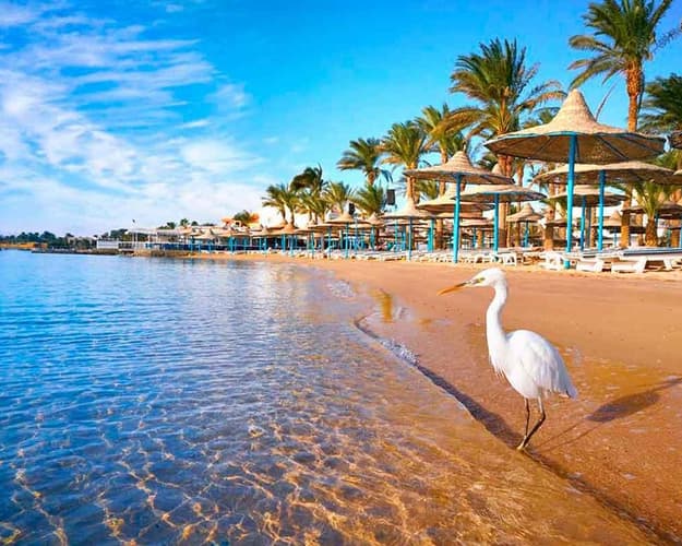 Изображение - EGIPTO AL COMPLETO Y EL MAR ROJO - HURGHADA