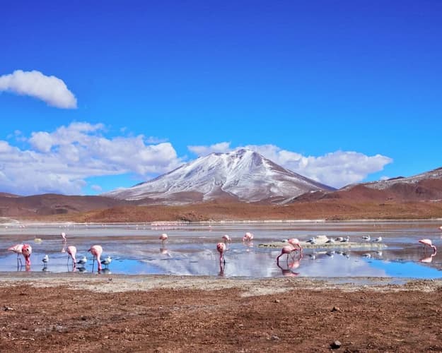 Imagen - Bloqueo San Pedro de Atacama 05 Noches Vía SKY - Hotel Don Raul