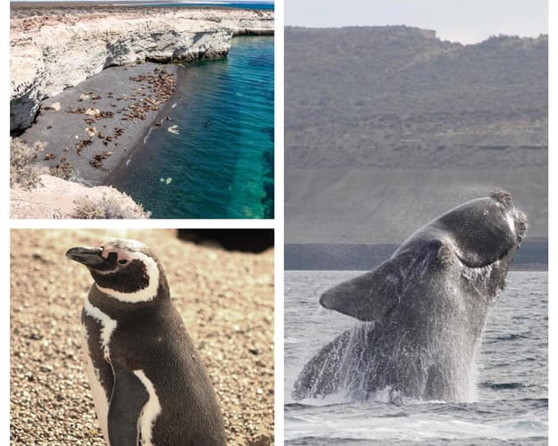 Imagine - Puerto Madryn (4 days/ 3 nights)