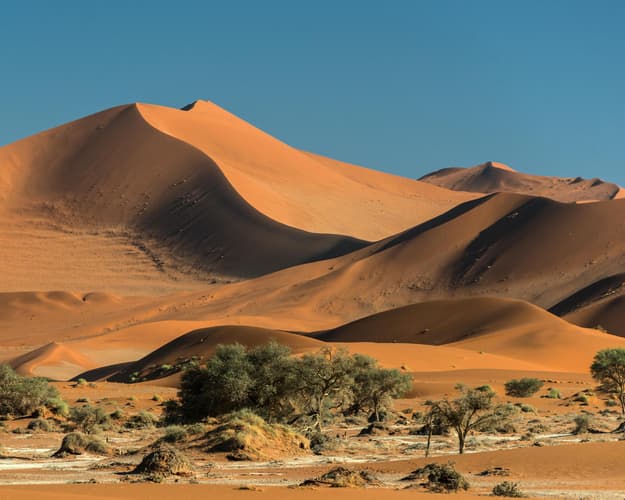 Obraz - Sossusvlei Shuttle